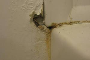 Plumbing Tub Shower Rot Damage Repairs - Plumbing