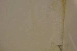 Plumbing Tub Shower Rot Damage Repairs - Plumbing