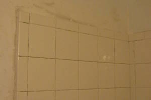 Plumbing Tub Shower Rot Damage Repairs - Plumbing