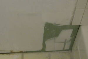 Plumbing Tub Shower Rot Damage Repairs - Plumbing