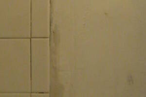 Plumbing Tub Shower Rot Damage Repairs - Plumbing