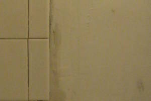 Plumbing Tub Shower Rot Damage Repairs - Plumbing