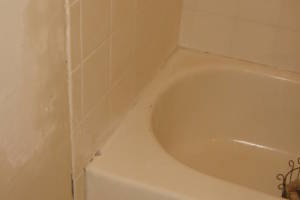 Plumbing Tub Shower Rot Damage Repairs - Plumbing