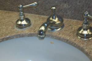 Plumbing Faucet Leaking Parts Replaced - Plumbing