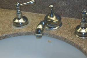 Plumbing Faucet Leaking Parts Replaced - Plumbing