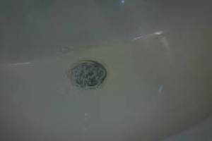 Plumbing Faucet Store Restroom Replacement - Plumbing