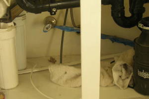 Plumbing Garbage Disposal Sink Retrofit - Plumbing