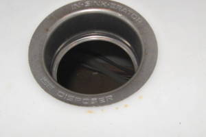 Plumbing Garbage Disposal Unit Replace - Plumbing