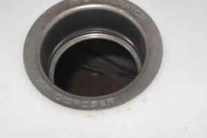 Plumbing Garbage Disposal Unit Replace - Plumbing