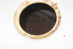 Plumbing Garbage Disposal Unit Replace - Plumbing
