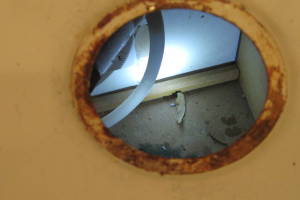 Plumbing Garbage Disposal Unit Replace - Plumbing