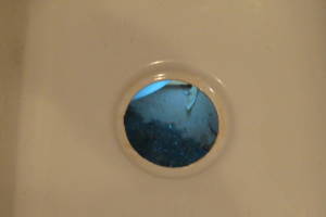 Plumbing Garbage Disposal Unit Replace - Plumbing