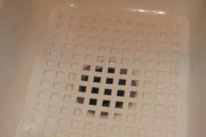 Plumbing Garbage Disposal Unit Replace - Plumbing