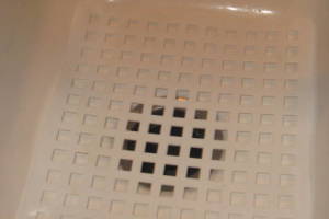 Plumbing Garbage Disposal Unit Replace - Plumbing