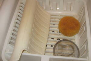 Plumbing Garbage Disposal Unit Replace - Plumbing