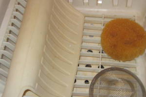 Plumbing Garbage Disposal Unit Replace - Plumbing