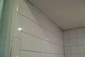 Plumbing Tub Shower Bath Remodel Redone - Plumbing