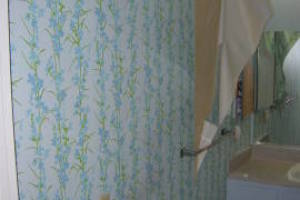 Plumbing Tub Shower Bath Remodel - Plumbing