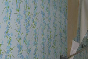 Plumbing Tub Shower Bath Remodel - Plumbing