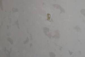 Plumbing Tub Shower Bath Tile Remodel - Plumbing