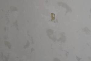 Plumbing Tub Shower Bath Tile Remodel - Plumbing