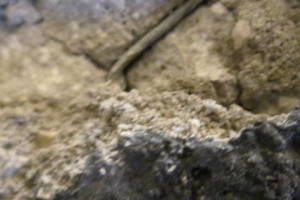 Plumbing Tub Shower Damage Remodel - Plumbing
