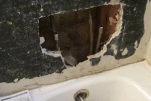 Plumbing Tub Shower Damage Remodel - Plumbing