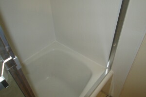 Plumbing Tub Shower Damage Remodel - Plumbing