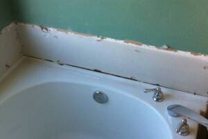 Plumbing Tub Shower Dryrot Bath Remodel - Plumbing