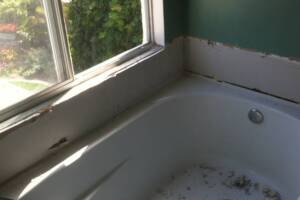 Plumbing Tub Shower Dryrot Bath Remodel - Plumbing