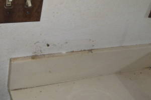 Plumbing Tub Shower Remodel Repairs - Plumbing