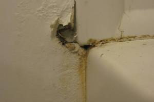 Plumbing Tub Shower Rot Damage Repairs - Plumbing