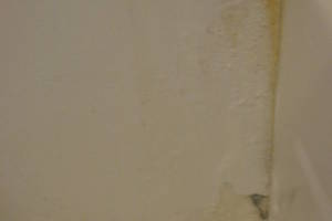 Plumbing Tub Shower Rot Damage Repairs - Plumbing