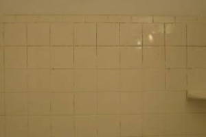 Plumbing Tub Shower Rot Damage Repairs - Plumbing