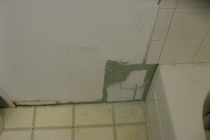 Plumbing Tub Shower Rot Damage Repairs - Plumbing