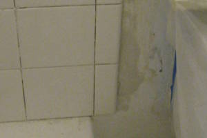 Plumbing Tub Shower Rot Damage Repairs - Plumbing
