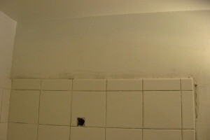 Plumbing Tub Shower Rot Damage Repairs - Plumbing