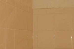 Plumbing Tub Shower Rot Damage Repairs - Plumbing