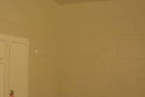 Plumbing Tub Shower Rot Damage Repairs - Plumbing