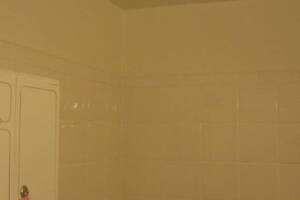 Plumbing Tub Shower Rot Damage Repairs - Plumbing