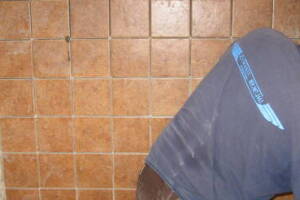 Plumbing Tub Shower Tile Bath Remodel - Plumbing