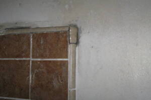Plumbing Tub Shower Tile Bath Remodel - Plumbing