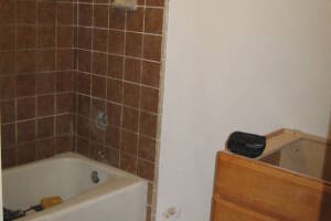 Plumbing Tub Shower Tile Bath Remodel - Plumbing