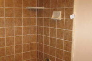 Plumbing Tub Shower Tile Bath Remodel - Plumbing