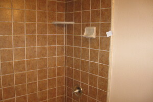Plumbing Tub Shower Tile Bath Remodel - Plumbing