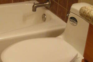 Plumbing Tub Shower Tile Bath Remodel - Plumbing