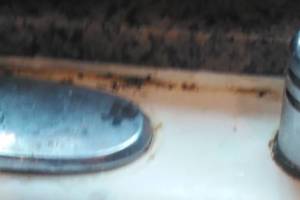 Plumbing Sink Replacement Water Damage - Plumbing