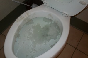 Plumbing Toilet Commercial Flush Repair - Plumbing