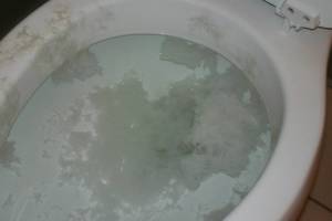 Plumbing Toilet Commercial Flush Repair - Plumbing