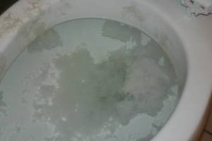 Plumbing Toilet Commercial Flush Repair - Plumbing